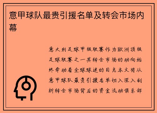 意甲球队最贵引援名单及转会市场内幕